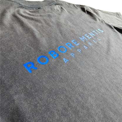 Diverse Fortis T-Shirt - Regular fit blue